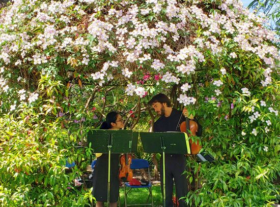 Two performers under a canopy of flowers