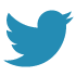 Twitter icon blue