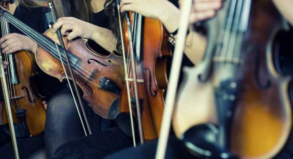 Group of people holding violins